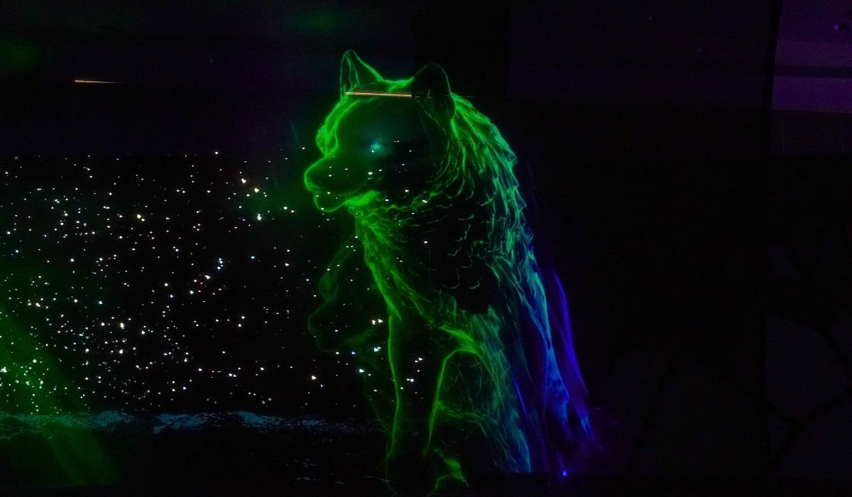 Aurora Spirits Projection on Mesh Holographic Animation (1)