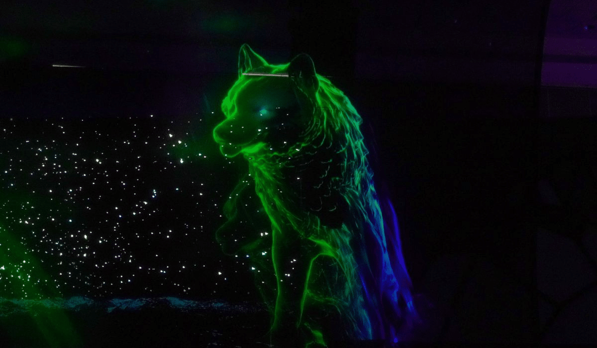 Aurora Spirits | Go2 Productions