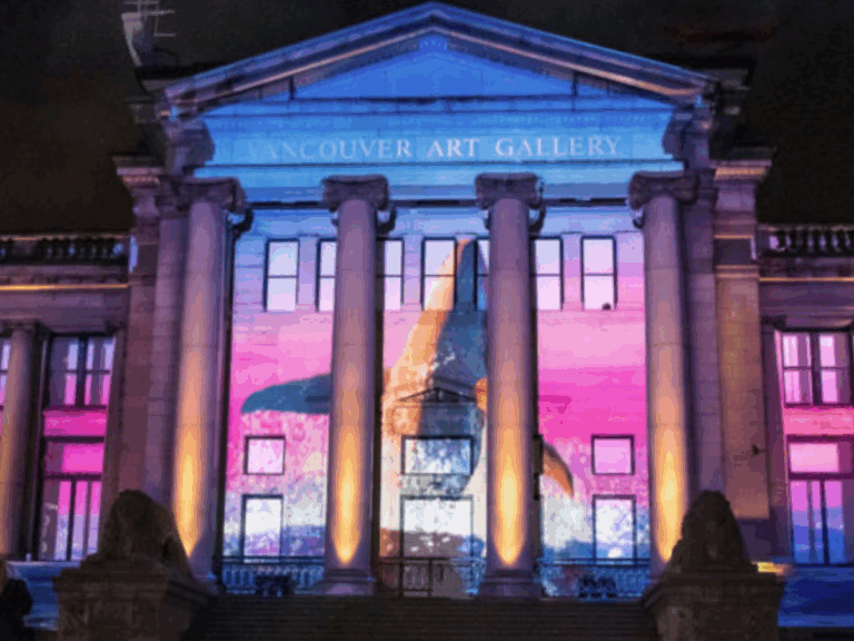 Go2 Productions Demo Reel 2025 Cover