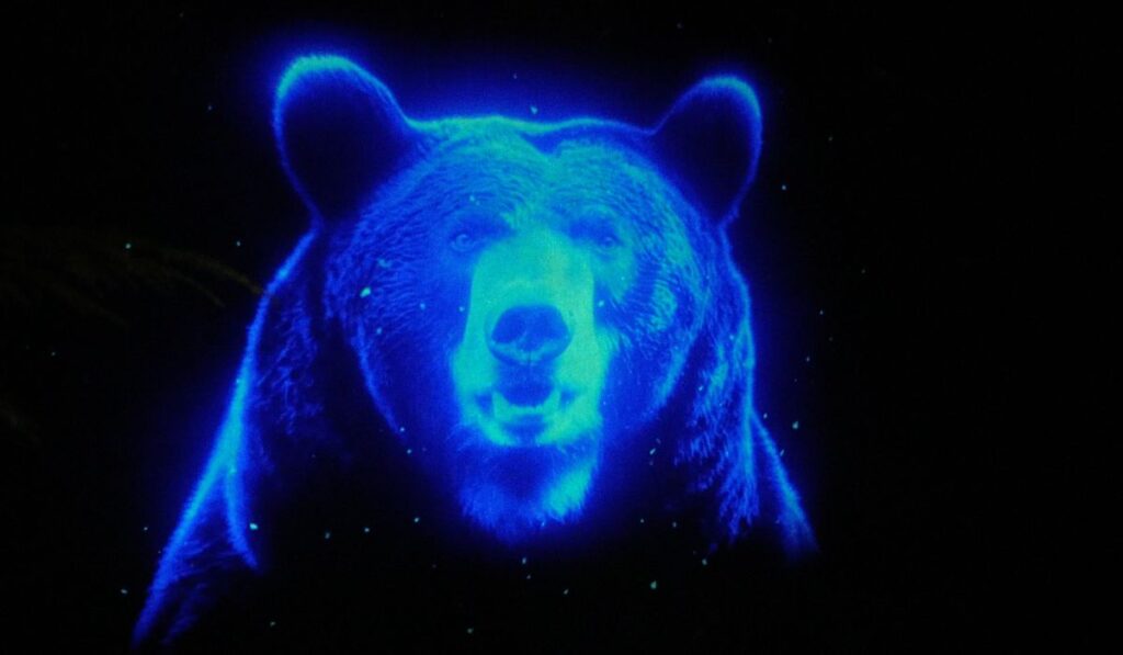 Go2 Productions Wildlight, Canyon Lights, 3D Projection