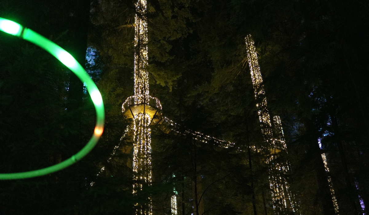 Go2 Productions Wildlight, Canyon Lights, 3D Projection 3